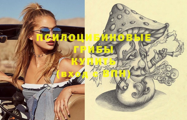 дмт Баксан
